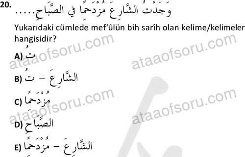 ata islamiilimler 1772 20