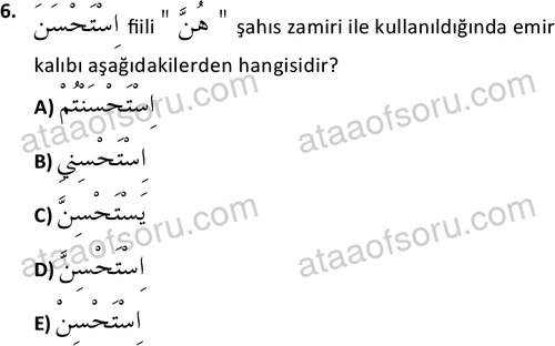 ata islamiilimler 1772 6