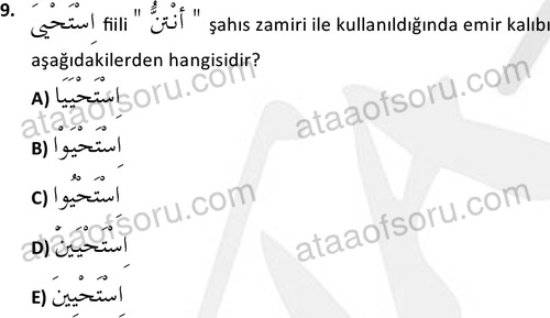 ata islamiilimler 1772 9