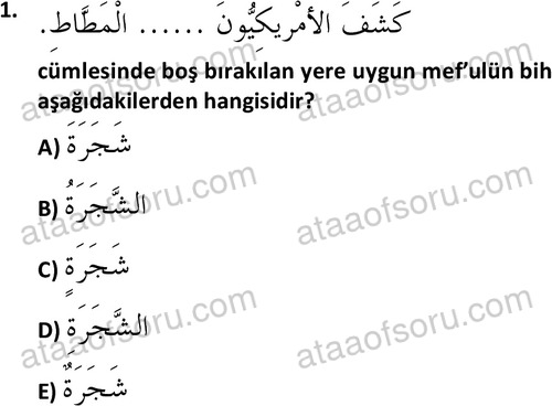 ata islamiilimler 1772 1