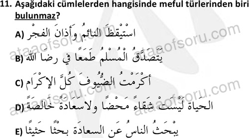 ata islamiilimler 1772 11