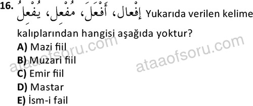 ata islamiilimler 1772 16