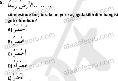 ata islamiilimler 1772 5