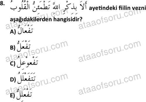 ata islamiilimler 1772 8