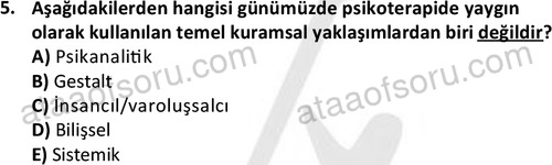 ata islamiilimler 1773 5