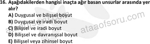 ata islamiilimler 1773 16