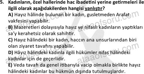 ata islamiilimler 1774 5