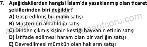 ata islamiilimler 1774 7