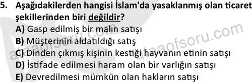 ata islamiilimler 1774 5