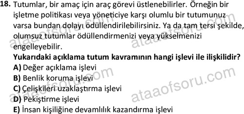 ata isletme 1819 18