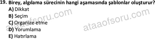 ata isletme 1819 19