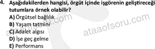 ata isletme 1819 4