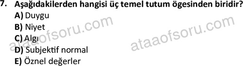 ata isletme 1819 7