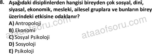 ata isletme 1819 8