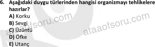 ata isletme 1819 6