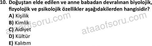 ata isletme 1819 10