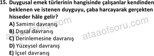 ata isletme 1819 15