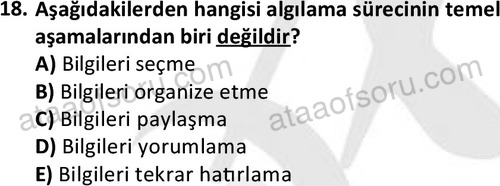 ata isletme 1819 18