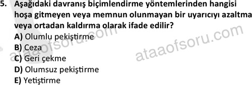 ata isletme 1819 5