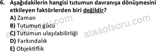 ata isletme 1819 6