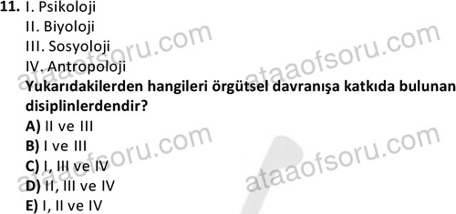 ata isletme 1819 11