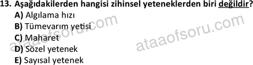 ata isletme 1819 13