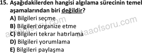 ata isletme 1819 15