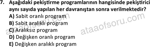 ata isletme 1819 7