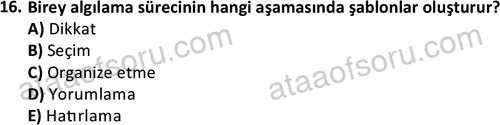 ata isletme 1819 16