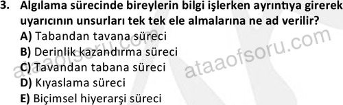 ata isletme 1819 3