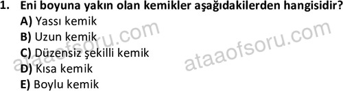 ata issagligiveguvenligi 1882 1