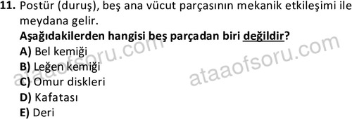 ata issagligiveguvenligi 1882 11