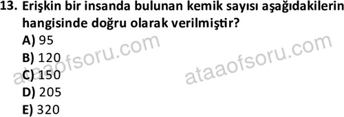 ata issagligiveguvenligi 1882 13