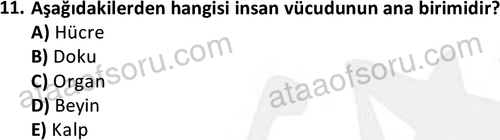 ata issagligiveguvenligi 1882 11