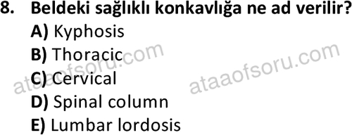 ata issagligiveguvenligi 1882 8