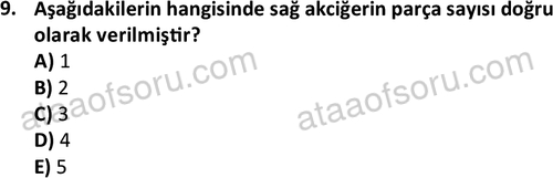 ata issagligiveguvenligi 1882 9