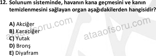 ata issagligiveguvenligi 1882 12