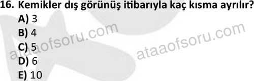 ata issagligiveguvenligi 1882 16