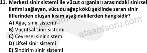 ata issagligiveguvenligi 1882 11