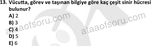 ata issagligiveguvenligi 1882 13