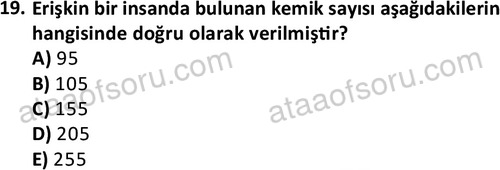 ata issagligiveguvenligi 1882 19