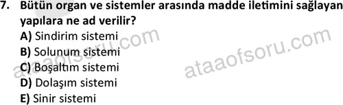 ata issagligiveguvenligi 1882 7