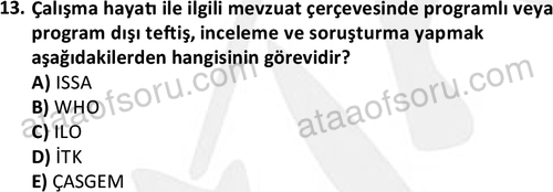 ata issagligiveguvenligi 1884 13