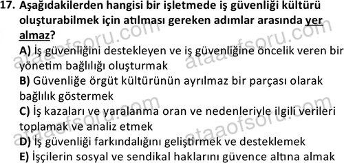 ata issagligiveguvenligi 1884 17