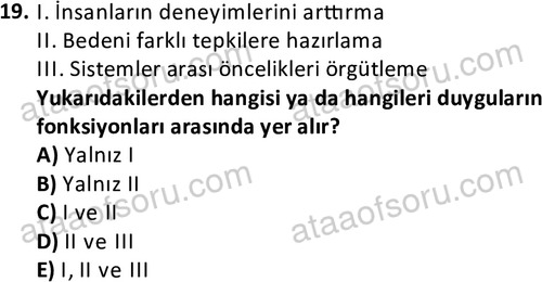 ata kamuyonetimi 1924 19
