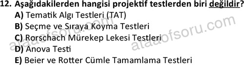 ata kamuyonetimi 1924 12