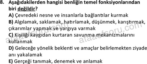 ata kamuyonetimi 1924 8
