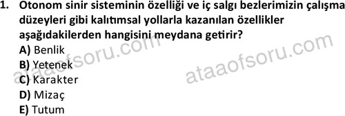 ata kamuyonetimi 1924 1