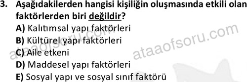 ata kamuyonetimi 1924 3