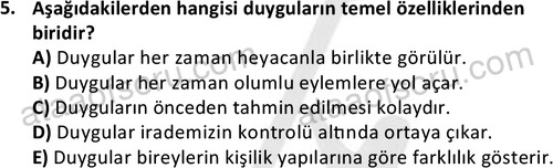 ata kamuyonetimi 1924 5